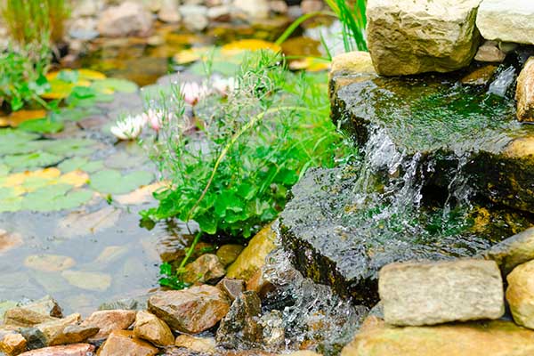 water feature design and installation